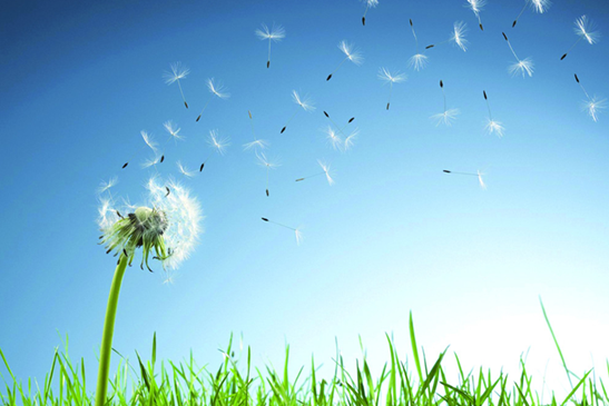 7月：贵州六盘水：我们共同的千字童！